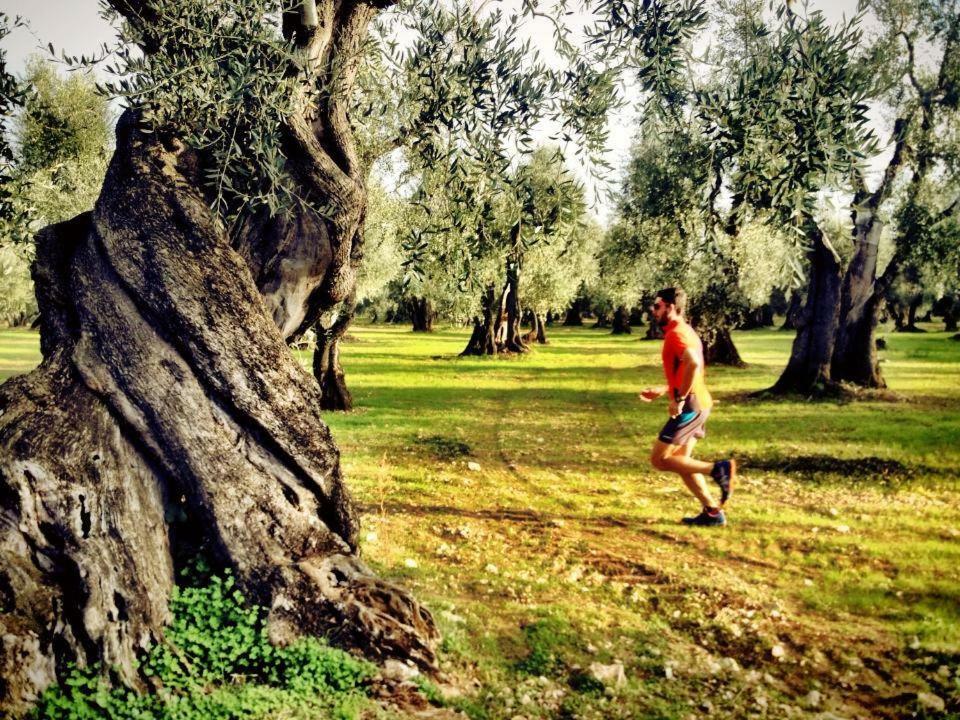 Casa Maresole Villa Mattinata Bagian luar foto