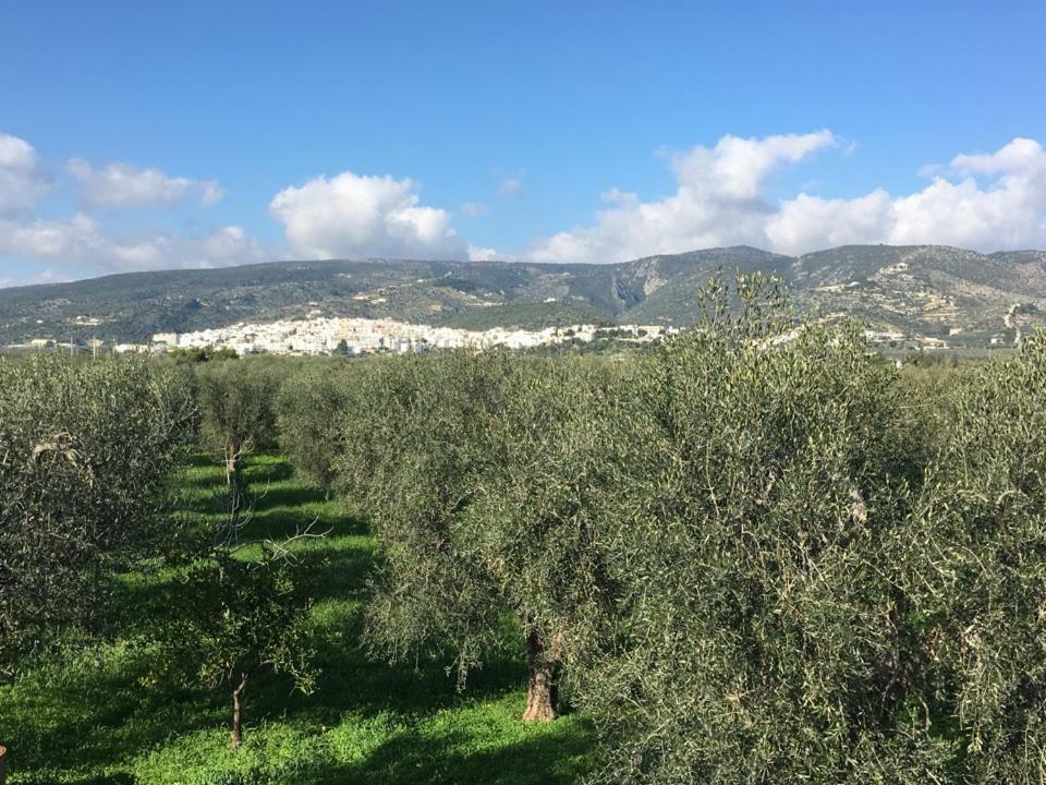 Casa Maresole Villa Mattinata Bagian luar foto